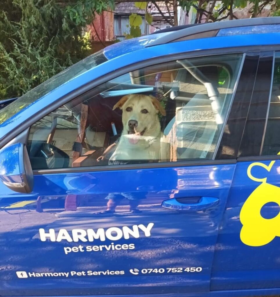 harmony-pet-taxi