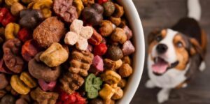 hrana uscata pentru animale de companie