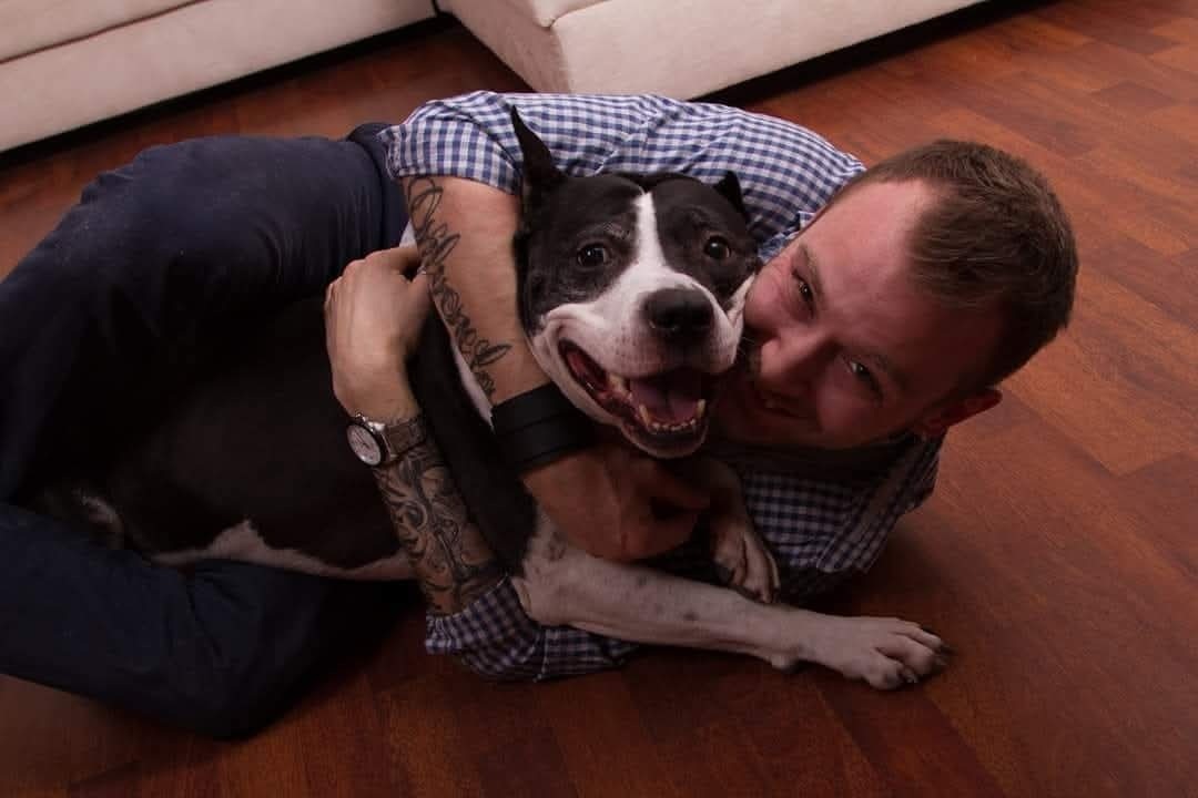 laurentiu negrau dresaj caini