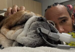 Lewis Hamilton alături de câinele său bolnav