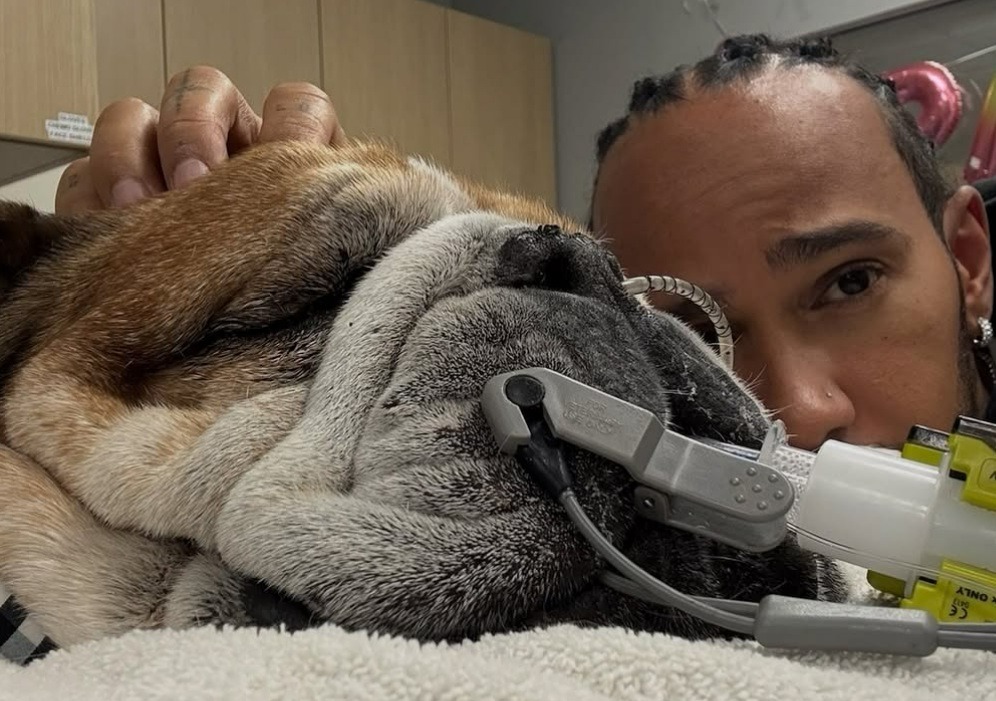 Lewis Hamilton alături de câinele său bolnav