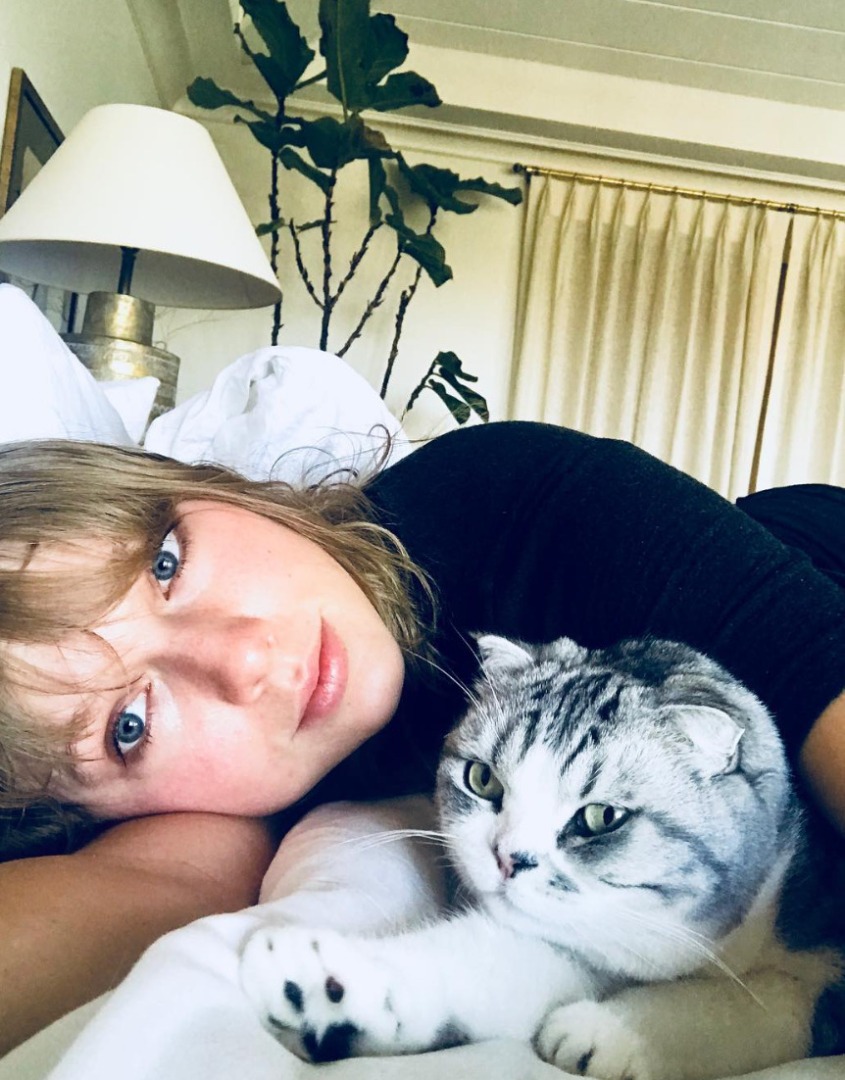 Meredith Grey, pisica lui Taylor Swift.