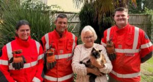 stapana, pisica si pompierii