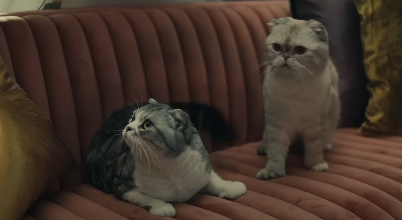 Olivia Benson și Meredith Grey, pisicile lui Taylor Swift în videclipul „ME!”