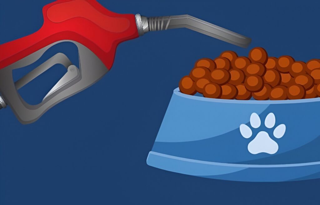 Pompă de benzină și bol cu hrană pentru animale