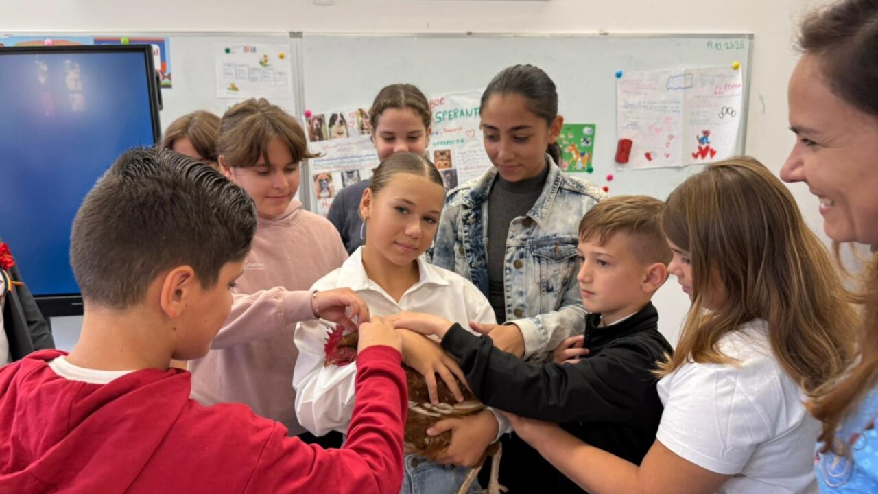 Elevi care mângâie o pisică într-o sală de curs