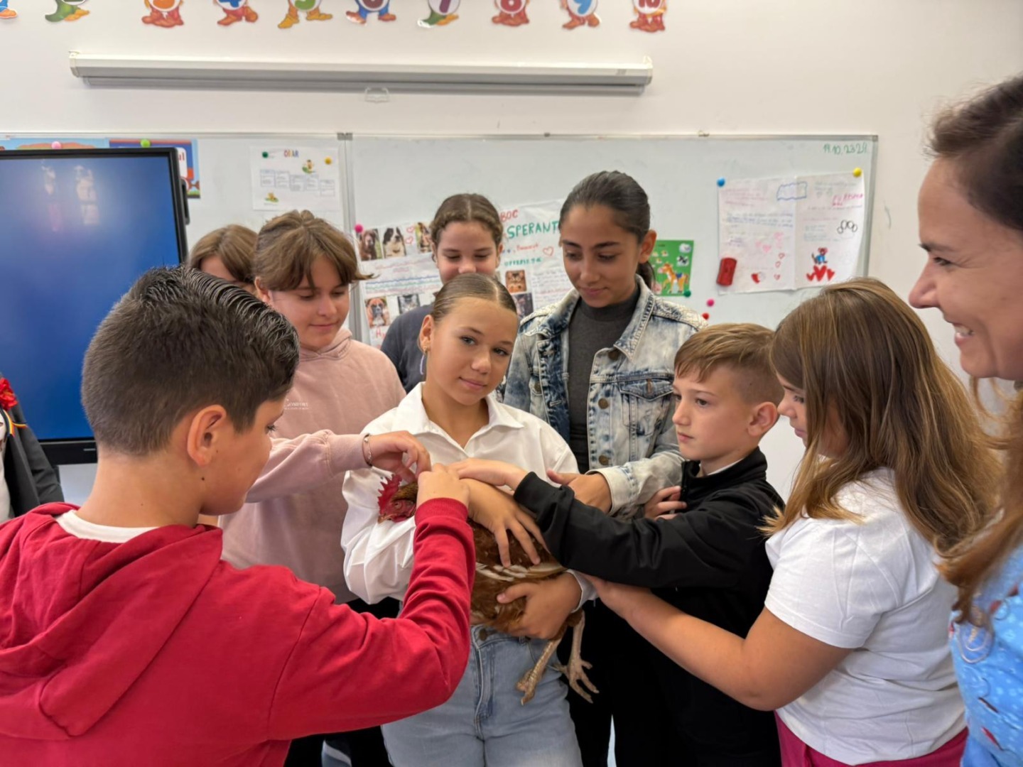 Elevi care mângâie o pisică într-o sală de curs