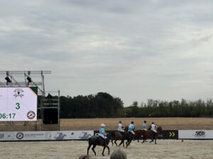 Jucători de polo în cadrul unui meci