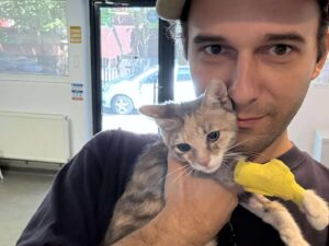 Radu Nastasi, fondator Asociația Miw Miw