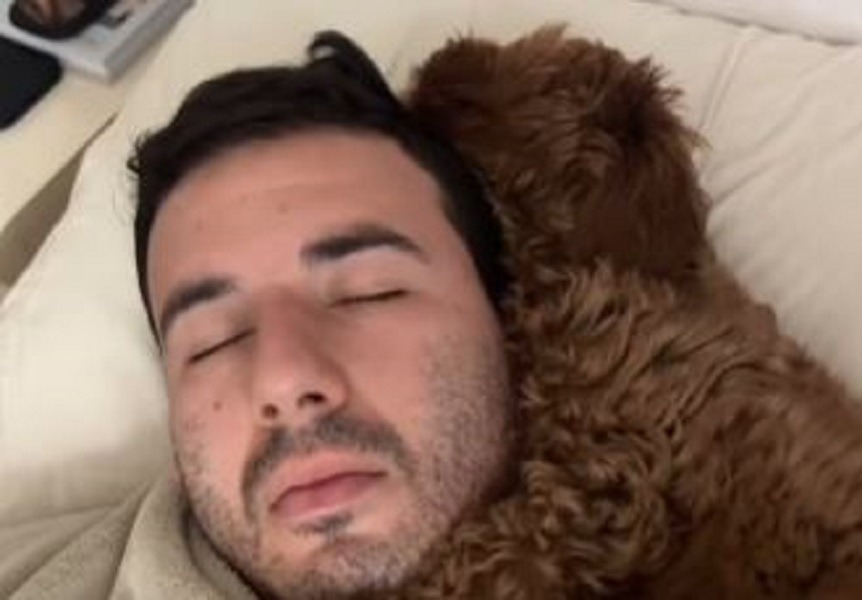 Un câine doarme cu stăpânul în brațe