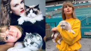 Taylor Swift și pisicile sale: Benjamin Button, Meredith Grey și Olivia Benson.