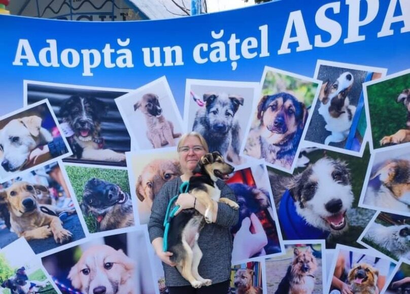 O femeie ține în brațe câinele pe care l-a adoptat de la un târg organiza t de ASPA