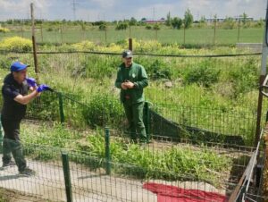 Curs de tranchilizare, un reprezentant ASPA învață cum să tranchilizeze animale de la distanță