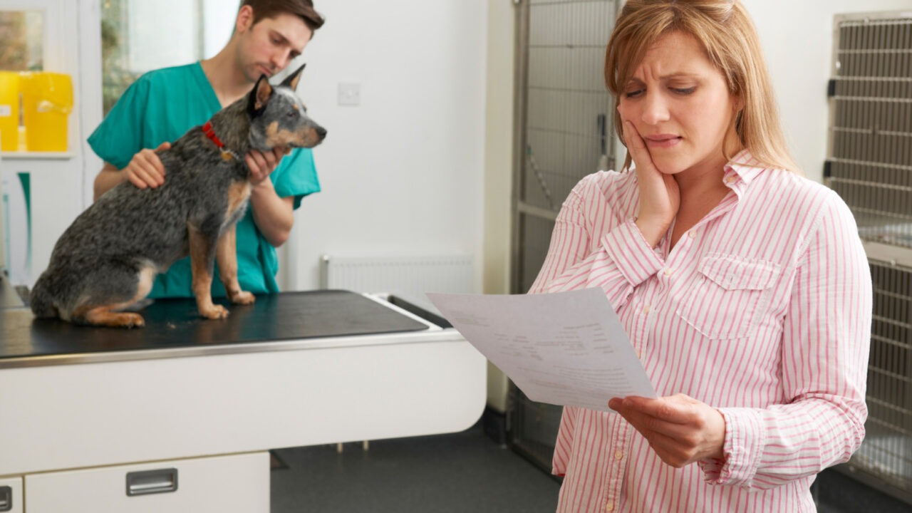 O femeie se uită cu îngrijorare în fișa medicală a câinelui care se află pe masa medicului veterinar