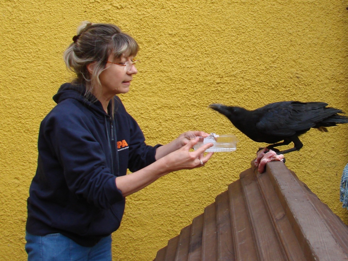 070530_03 Corbeau Piata Sfatului