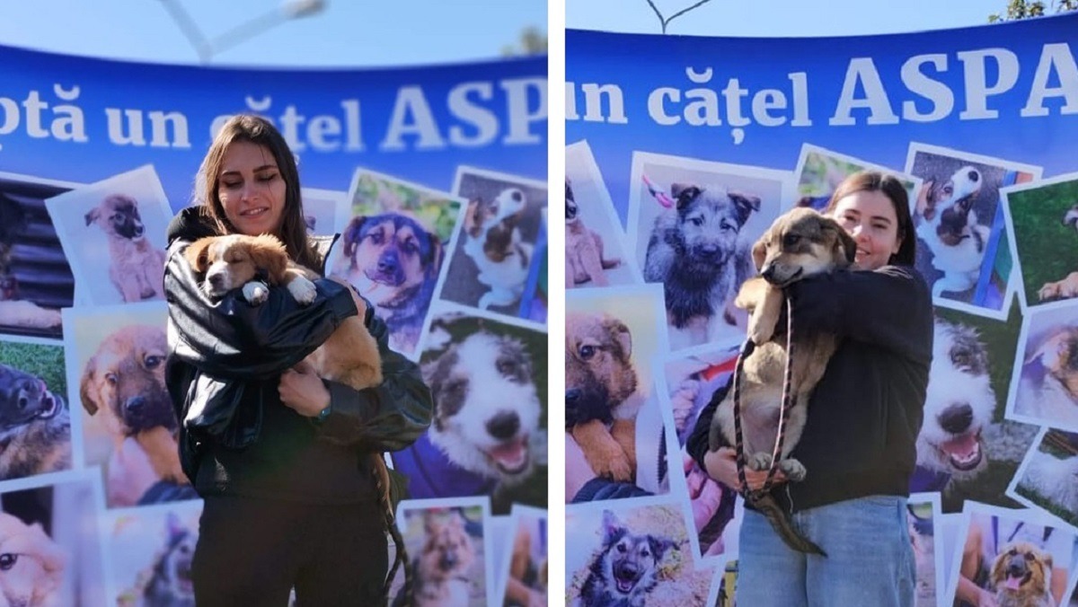 22-de-animale-si-au-gasit-familii-la-targul-de-adoptii