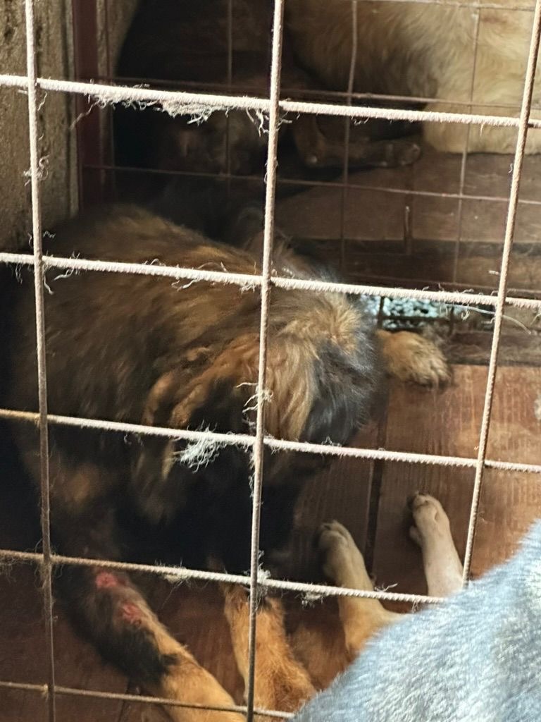 288ef274-7302-4023-8b3c-83a3b336bf87