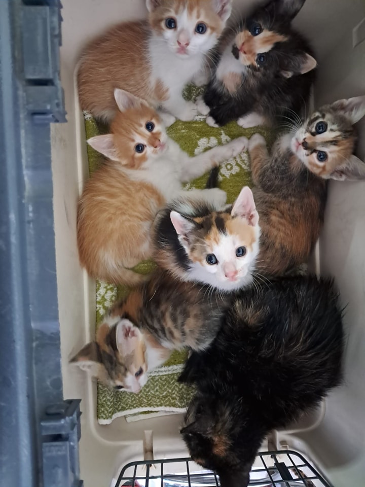 480781301_1055657953272504_2306033842776663498_n