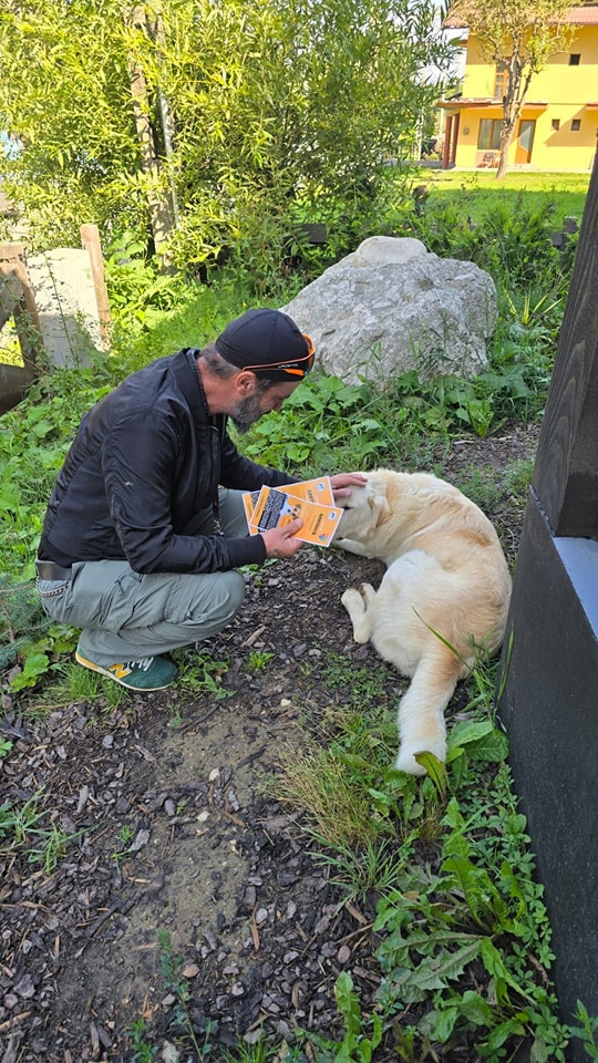 484893312_1056151116556521_7316531726001910696_n