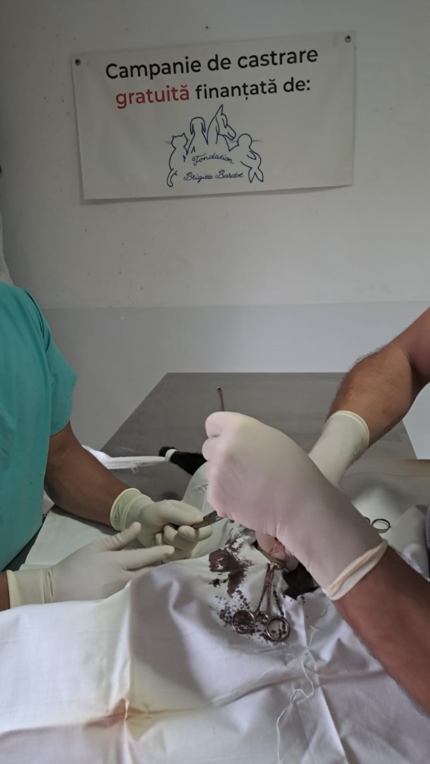 484902597_1056151346556498_4475588061889320698_n