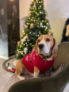 535584845_1517228842771632_6917514840145187097_n