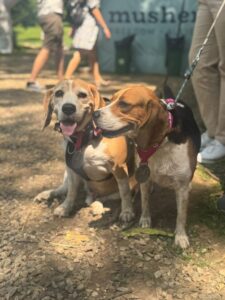 535838960_3672335506237098_127676054697022679_n