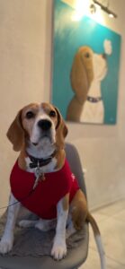 535854250_3977494712468129_4179573580342465040_n