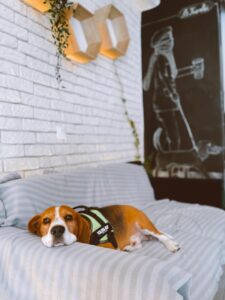 535878568_1816696532533128_5256828268077385889_n