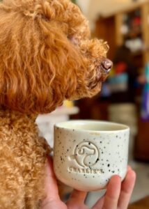 536463339_1306757377896918_3929182089959793339_n