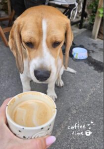 536682793_1260598882022830_6274416281177244009_n