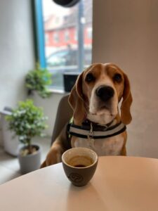 536777890_1113305164095201_6814595601457627646_n