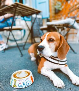 536820937_1455727258904886_6258099694255422557_n