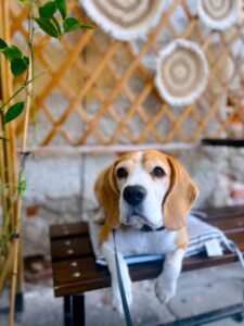 536949711_1189250606581375_5295648402741553975_n