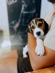 536981434_1077172491259296_4761086766066375175_n (1)