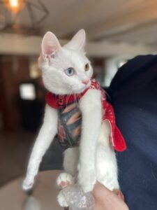 537004433_771806498554127_7825555602063704702_n