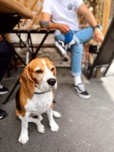 537162141_2199590247207908_4111749923099310484_n