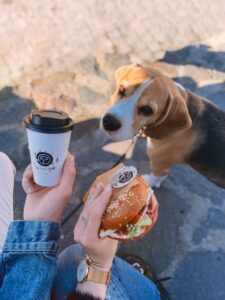 537206480_1839049586966494_4623533861627010285_n