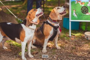 537232286_1125984686090167_3453607205961380185_n