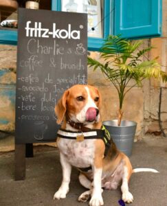 537266396_787604990329114_5292482698596488768_n