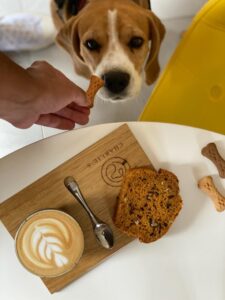 537665359_704900532563640_1486547866077054065_n