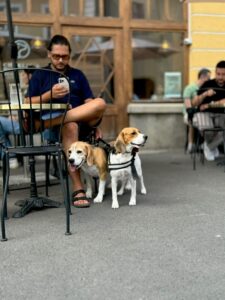 537784709_1518114972974390_1908931550159773798_n