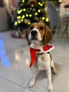 538056924_1431651618097028_5791923673916982761_n (1)