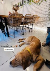 538207016_1987957915339515_5678500525465091746_n