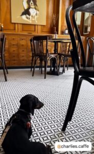 538520287_786293780470026_1158704853641234458_n