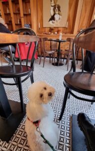 538630079_4266933283563337_6450319086096077814_n