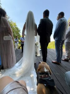 538783004_1102082114755608_4315749147164382472_n