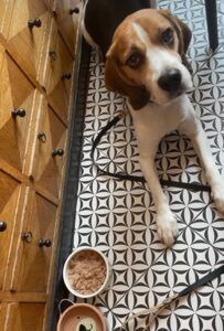 538785534_1114655020627426_1741922015566970248_n