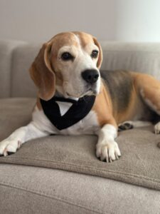 538905547_1311700146974437_5504966543314512428_n