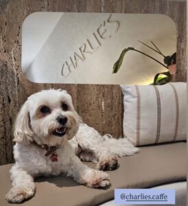 538909591_646239748520934_4822747422078067628_n