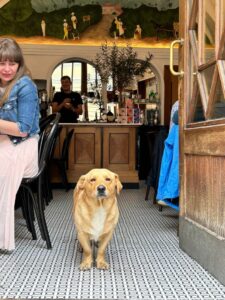 539129463_2910322199355631_662713373915059610_n